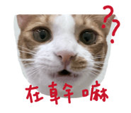 883304478