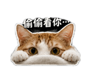 883304832