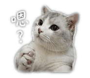 883304860