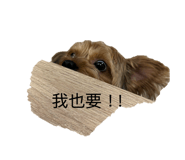 883305441