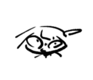 883305722