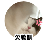 883305802