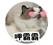 883305815