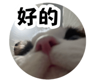 883305824