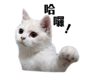 883305969