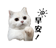 883305970