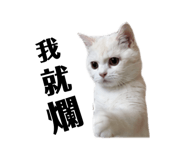 883305972