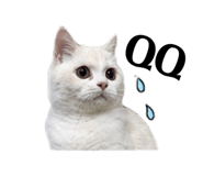 883305980