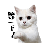 883305984