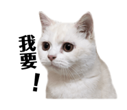 883305988