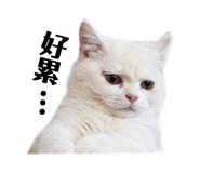 883305990