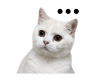 883305993