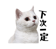 883305999