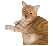883306185