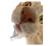 883306187