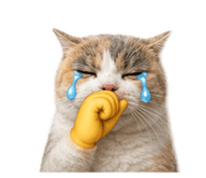 883306316