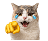 883306320