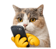 883306334