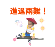 883308047