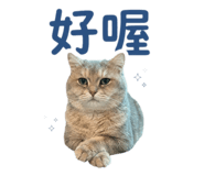 883309938
