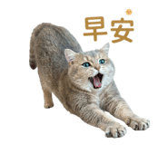 883309946