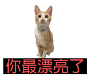 883312233