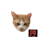 883312239