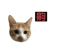 883312240