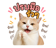 883312809