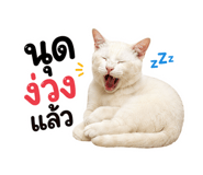 883320036
