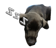 883324173