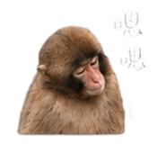 883330010