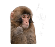 883330022