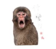 883330024