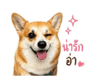 883335380