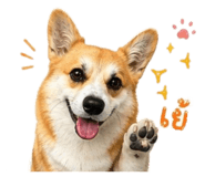 883335388