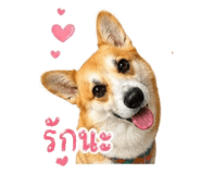 883335389