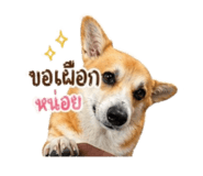 883335392