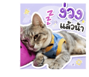 883335442