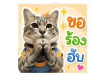 883335447