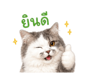 883337623