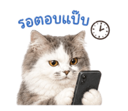 883337628