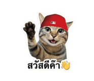 883337658