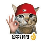 883337660