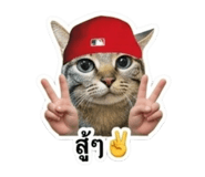883337662