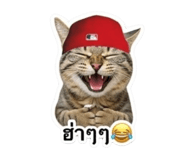 883337665