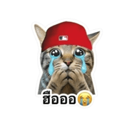 883337667