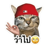 883337670