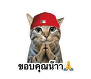 883337672