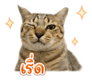 883337680